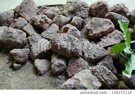 Pile of Volcanic Rocks with Plant Decoration Outdoors Pile of Volcanic Rocks with Plant Decoration Outdoors 138255116