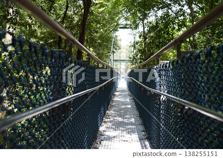 Suspension Bridge Walkway Amidst Lush Green Trees 138255151