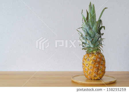 菠蘿 菠蘿 138255259
