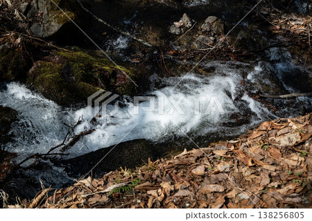 長野縣森林中的一條溪流 138256805