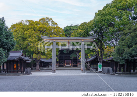 Meiji Jingu Shrine's Torii 138256816