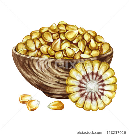 Corn kernels in a wooden bowl and a piece of corn on the cob. Hand-drawn watercolor illustration. Perfect for labels and packaging, as well as menus, banners, posters, and more 138257026