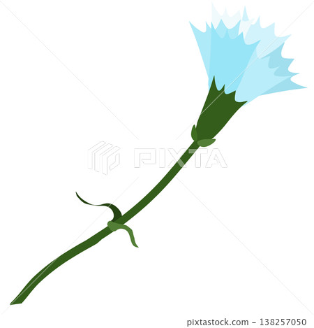 A simple illustration of a light blue carnation. A simple illustration of a light blue carnation. 138257050