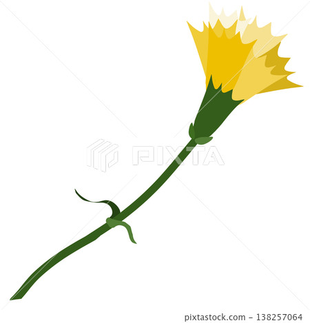 A simple illustration of a yellow carnation. A simple illustration of a yellow carnation. 138257064