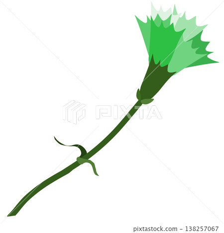 A simple illustration of a green carnation. A simple illustration of a green carnation. 138257067