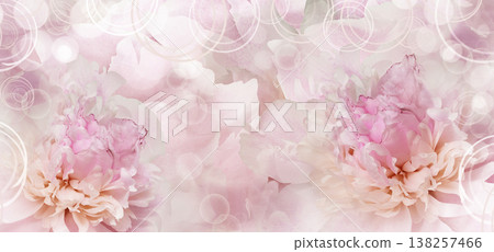 Peony flower. Floral background. Closeup. For design. Nature. Peony flower. Floral background. Closeup. For design. Nature. 138257466