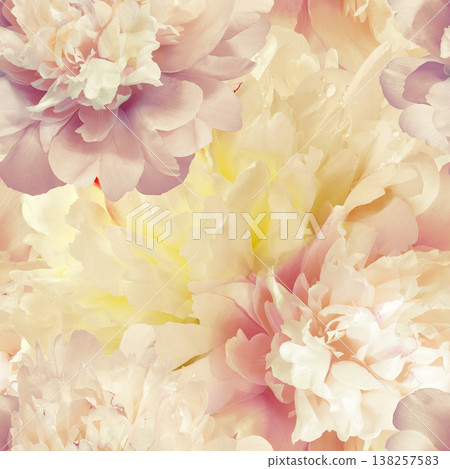 Seamless floral background. Flowers peonies and petals peonies. Close up. Seamless floral background. Flowers peonies and petals peonies. Close up. 138257583