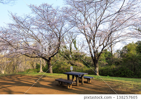 Springtime at Maioka Furusato Park in Totsuka Ward, Yokohama City Springtime at Maioka Furusato Park in Totsuka Ward, Yokohama City 138257605