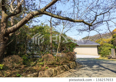 Spring at Hayama Shiosai Park Spring at Hayama Shiosai Park 138257653