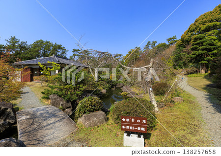 Spring at Hayama Shiosai Park Spring at Hayama Shiosai Park 138257658