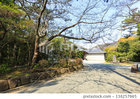 Spring at Hayama Shiosai Park Spring at Hayama Shiosai Park 138257665
