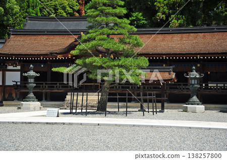 Taga Taisha 138257800