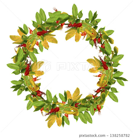 Watercolor wreath of hypanthium berries and rose hips. Hand-drawn illustration on a white isolated background. Suitable for packaging design, product cards, labels, and printing on paper and fabric. Watercolor wreath of hypanthium berries and rose hips. Hand-drawn illustration on a white isolated background. Suitable for packaging design, product cards, labels, and printing on paper and fabric. 138258782
