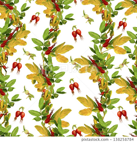 A seamless pattern of rosehip branches with berries and leaves. This autumnal watercolor illustration is hand-drawn on a white background. Suitable for printing on paper, fabric, and tea labels. 138258784
