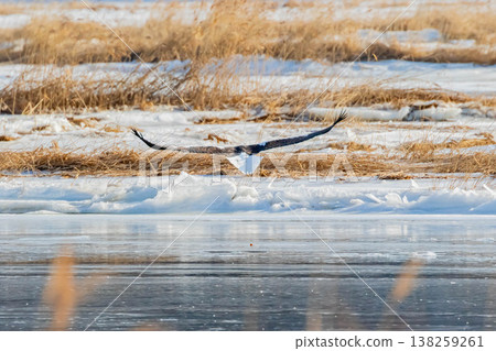 Flight of St. Flight of St. 138259261