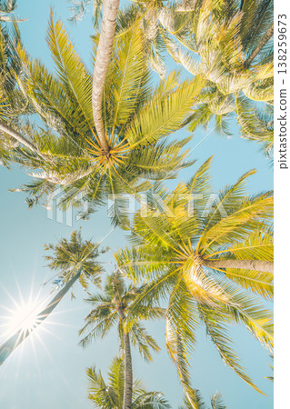 Looking up idyllic palm trees, leaves, soft pastel blue sky, tropical nature background, exotic summer holiday Looking up idyllic palm trees, leaves, soft pastel blue sky, tropical nature background, exotic summer holiday 138259673