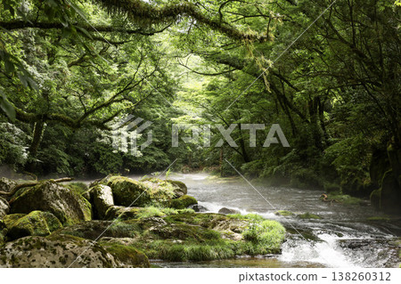 A stream landscape enveloped in fresh greenery. A stream landscape enveloped in fresh greenery. 138260312