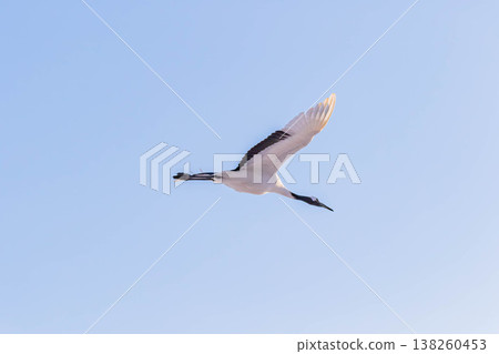 Flight of the crane Flight of the crane 138260453