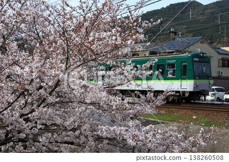Keihan Ishiyama-Sakamoto Line and Cherry Blossoms Part 1 Keihan Ishiyama-Sakamoto Line and Cherry Blossoms Part 1 138260508