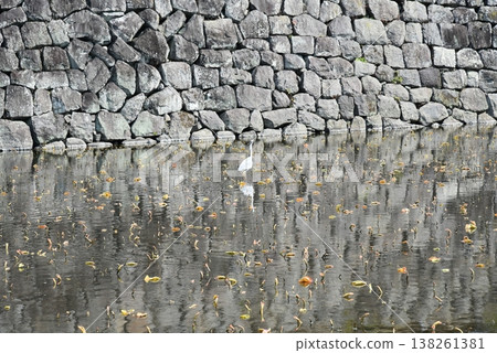 Odawara Castle Ruins Park: The Arrival of Spring 138261381