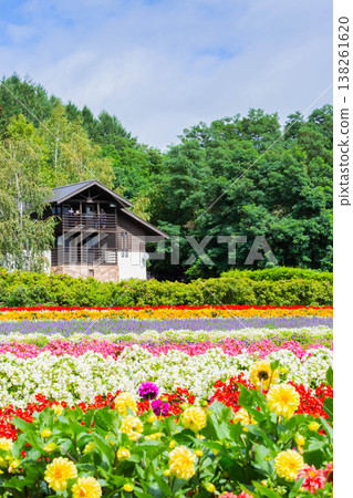  富田農場 138261620