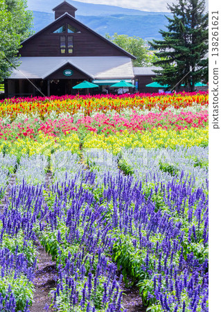  富田農場 138261621