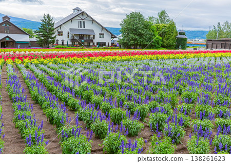  富田農場 138261623