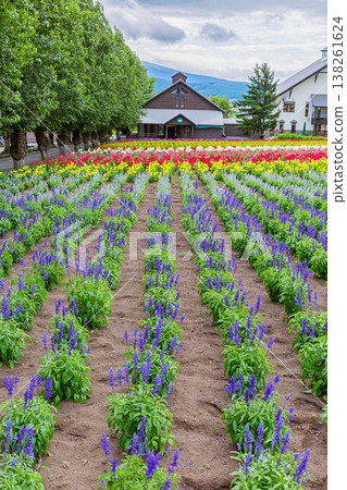  富田農場 138261624