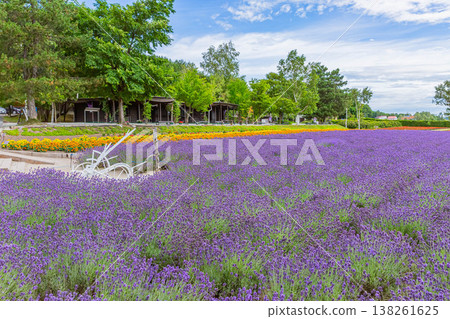  富田農場 138261625