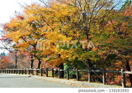 Mizusawa's Maple Valley Mizusawa's Maple Valley 138261683
