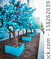 Blue trees with flowers in the city center. Trees made of polymer. 138262039