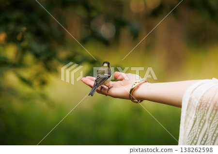 Gentle touch of nature as a small bird rests on an open palm surrounded by vibrant greenery Gentle touch of nature as a small bird rests on an open palm surrounded by vibrant greenery 138262598