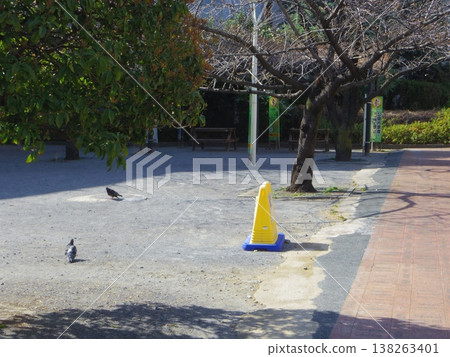 公園裡的鴿子 138263401