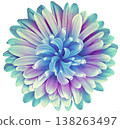 flower  on a  white isolated background with clipping path. Closeup.  Nature. 138263497