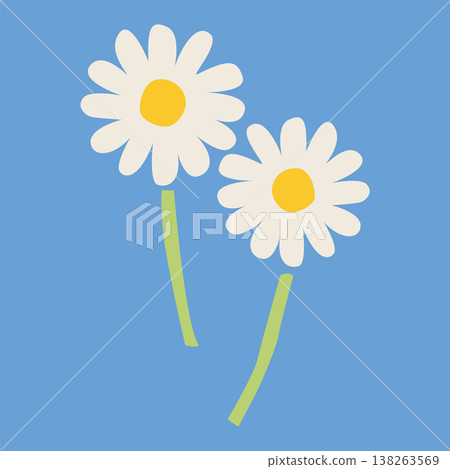 An illustration of two daisies in full bloom. A simple floral image of chamomile or other herbs. An illustration of two daisies in full bloom. A simple floral image of chamomile or other herbs. 138263569