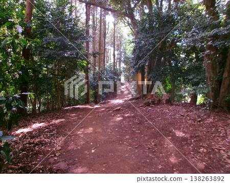 Trail Trail 138263892