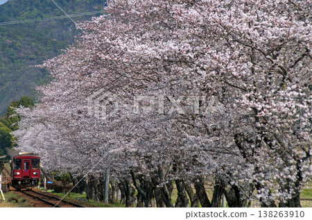 Nagara River Railway, at Sekishita-Uchi 1 138263910