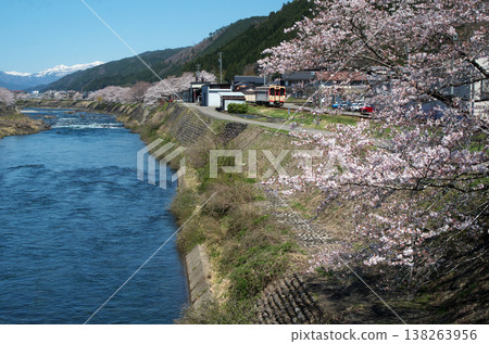 Cherry blossoms and the Nagara River Railway 138263956