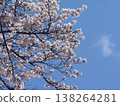 Sakura that shines in the blue sky 138264281