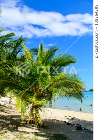 The beautiful scenery of Blue Bay Beach in Mauritius The beautiful scenery of Blue Bay Beach in Mauritius 138264295