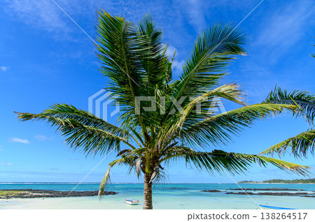 Beautiful beach scenery in Mauritius Beautiful beach scenery in Mauritius 138264517