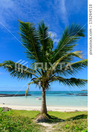 Beautiful beach scenery in Mauritius Beautiful beach scenery in Mauritius 138264518