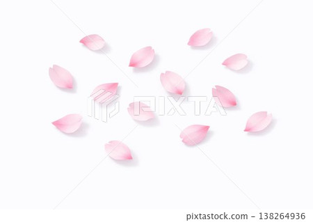 極簡的扁平春花花瓣花環 138264936