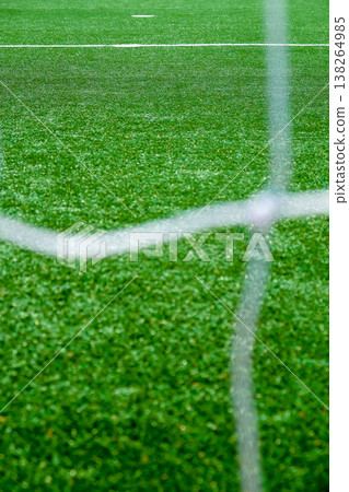 Soccer field green grass and net background.  138264985