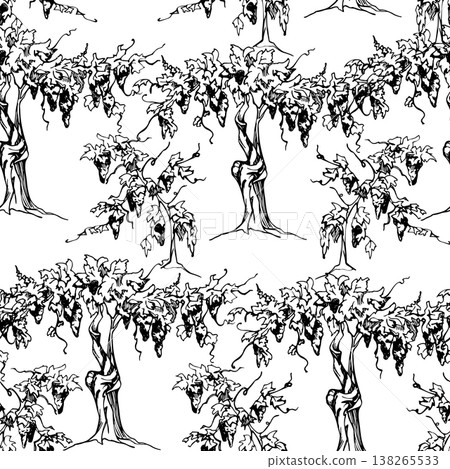 Repeating vineyard landscape rows of grapevine leafy vines with grape berry clusters on trunks with young creepers. Seamless ink pattern, hand drawn vector illustration. Textile design, wine packaging Repeating vineyard landscape rows of grapevine leafy vines with grape berry clusters on trunks with young creepers. Seamless ink pattern, hand drawn vector illustration. Textile design, wine packaging 138265533