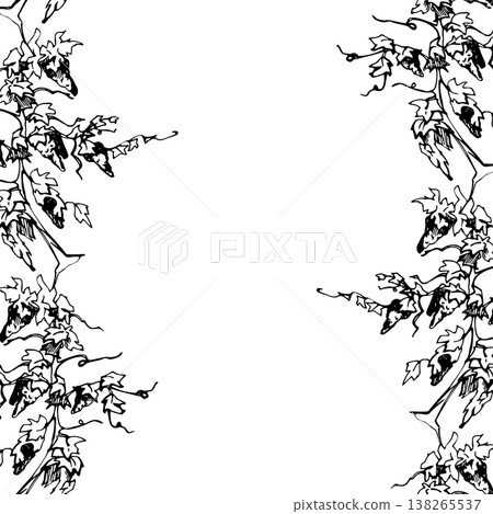 Botanical leafy grapevines with fruit clusters to harvest, twirling creepers. Seamless wine banner hand drawn in ink. Vector illustration. Packaging trims, travel guides and vineyard maps, upholstery Botanical leafy grapevines with fruit clusters to harvest, twirling creepers. Seamless wine banner hand drawn in ink. Vector illustration. Packaging trims, travel guides and vineyard maps, upholstery 138265537