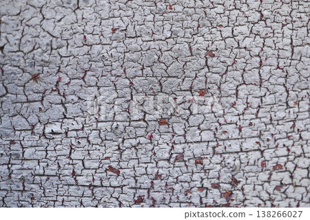 Densely Cracked White Paint Over Rust, Fine Mosaic Grunge Textur Densely Cracked White Paint Over Rust, Fine Mosaic Grunge Textur 138266027