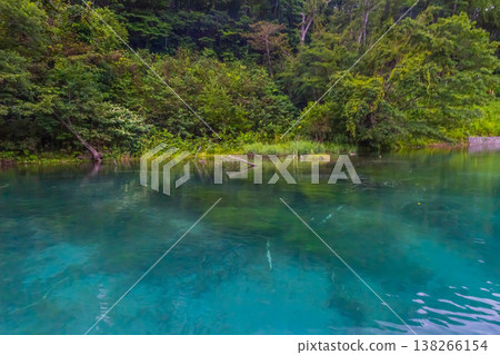 千歲河 千歲河 138266154