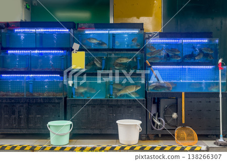 Fish market in Hong Kong. Fish swim calmly in stacked blue tanks. 138266307
