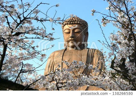 Jurakudai Buddha 138266580